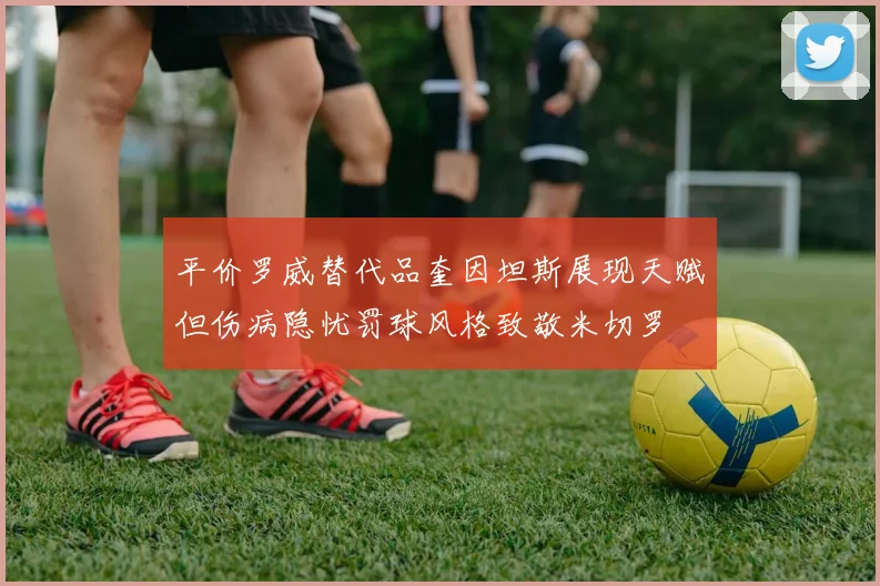 平价罗威替代品奎因坦斯展现天赋但伤病隐忧罚球风格致敬米切罗